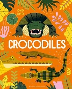 Crocodiles - Owen Davey