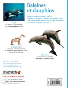 Baleines et dauphins - 